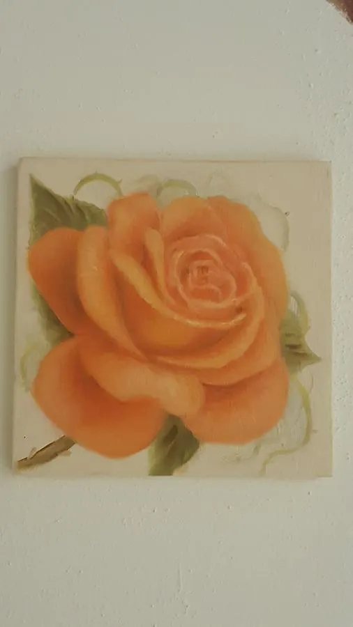 Five Roses Bed & Breakfast Pisa